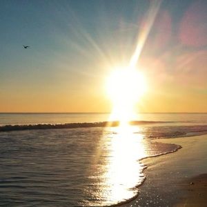 Meet your Posher, Laurie